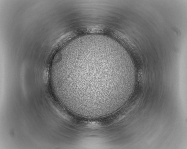 X0000115160741200911101750