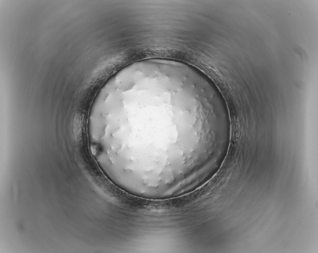 X0000115160742200911101750
