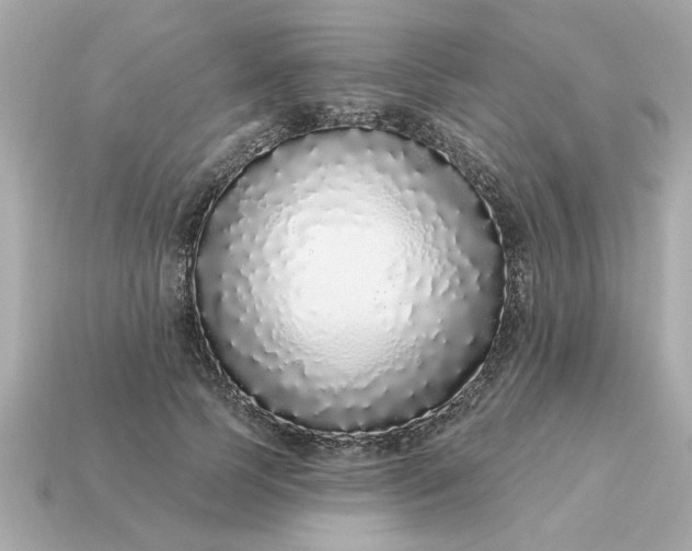 X0000115160745200911101750