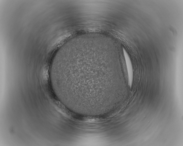 X0000115160746200911101750