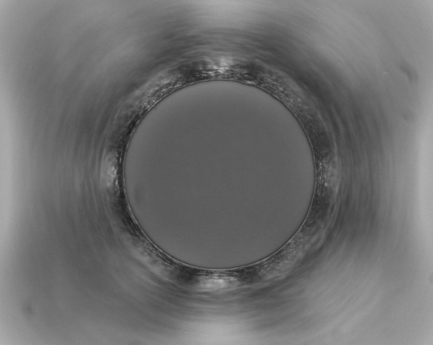 X0000115160754200911101750