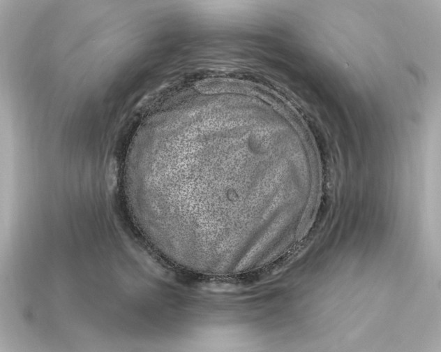 X0000115160758200911101750
