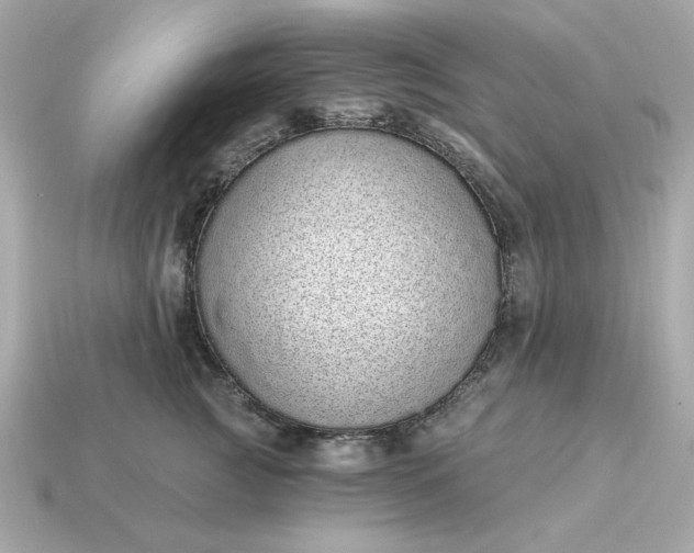 X0000115160761200911101750