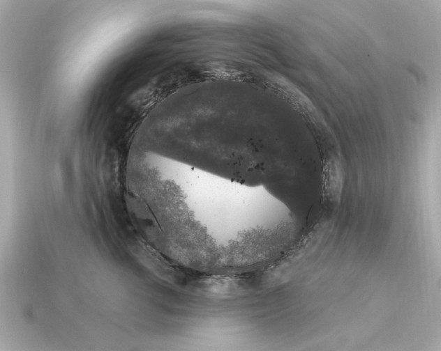 X0000115160762200911101750