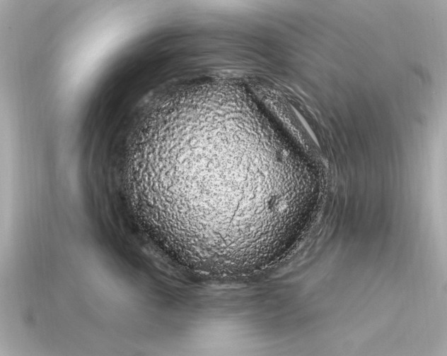 X0000115160763200911101750