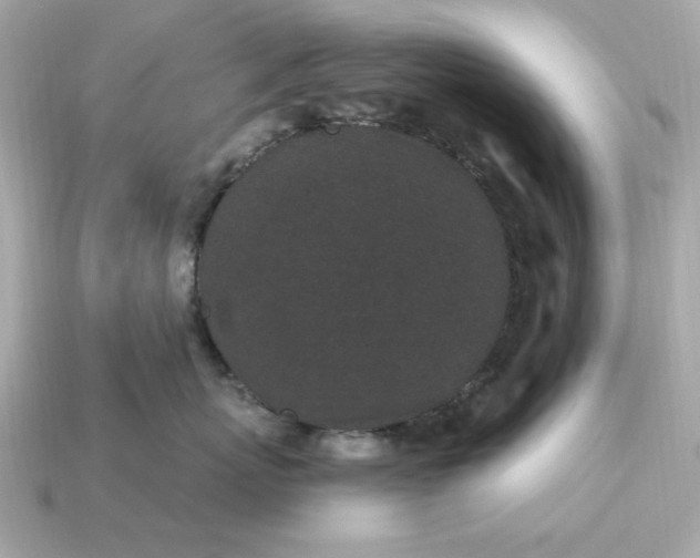 X0000115160767200911101750