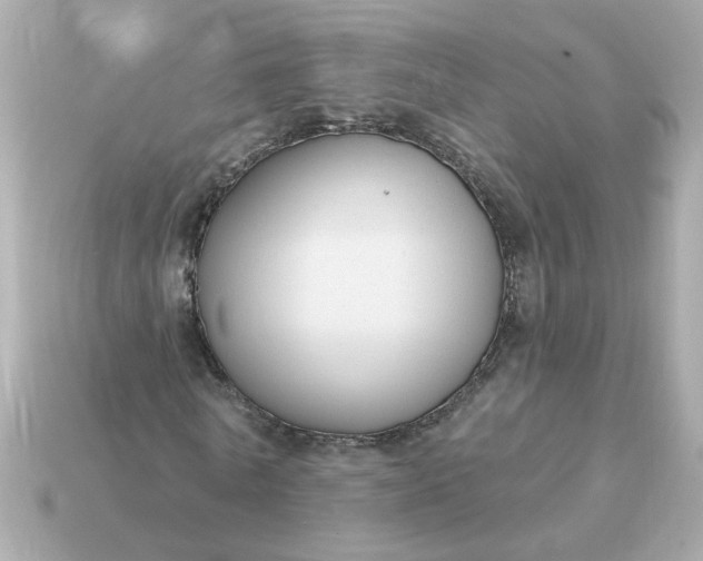 X0000115160770200911101749