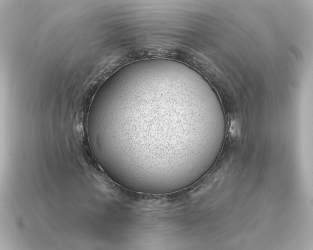 X0000115160771200911101749