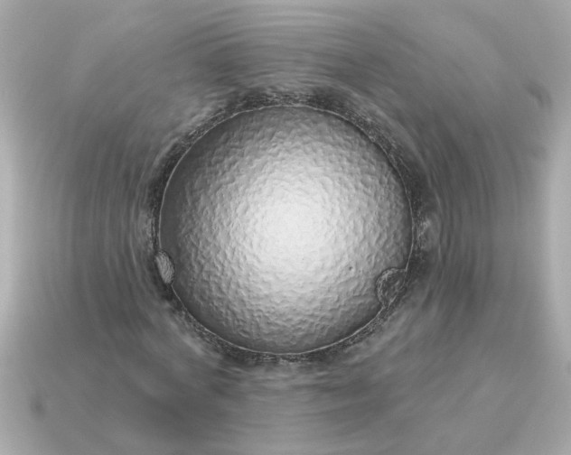 X0000115160772200911101749