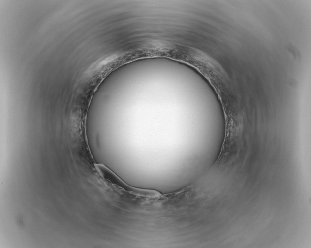 X0000115160773200911101749