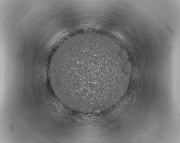 X0000115160774200911101749