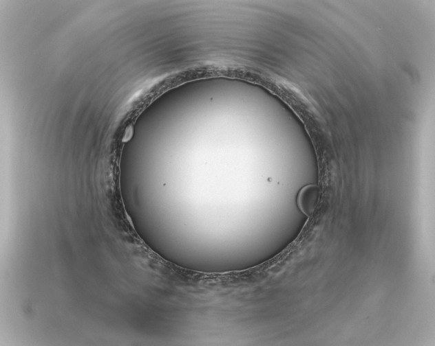 X0000115160776200911101749