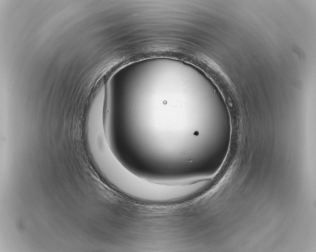 X0000115160777200911101749