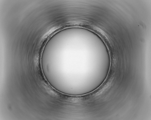 X0000115160778200911101749
