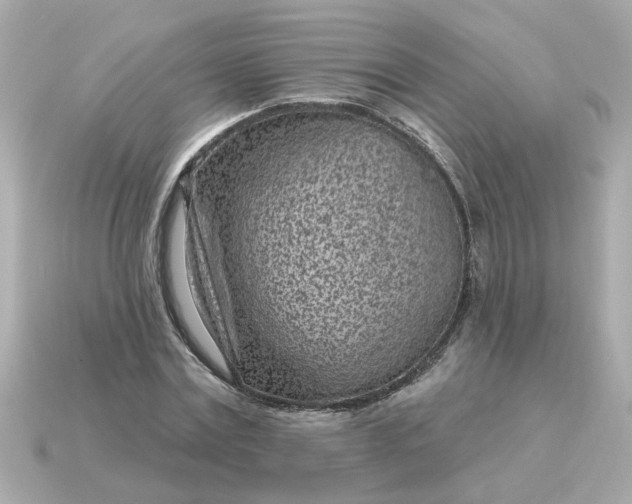 X0000115160779200911101749