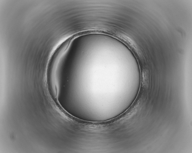 X0000115160780200911101749