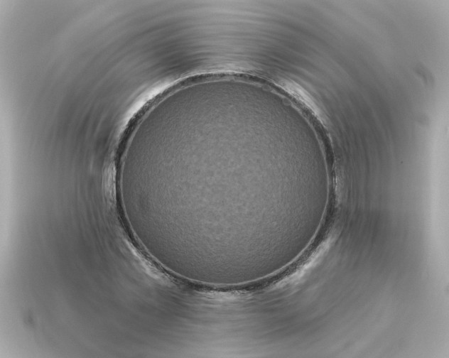 X0000115160781200911101749