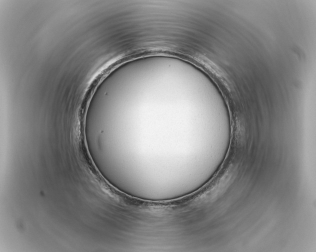 X0000115160782200911101749