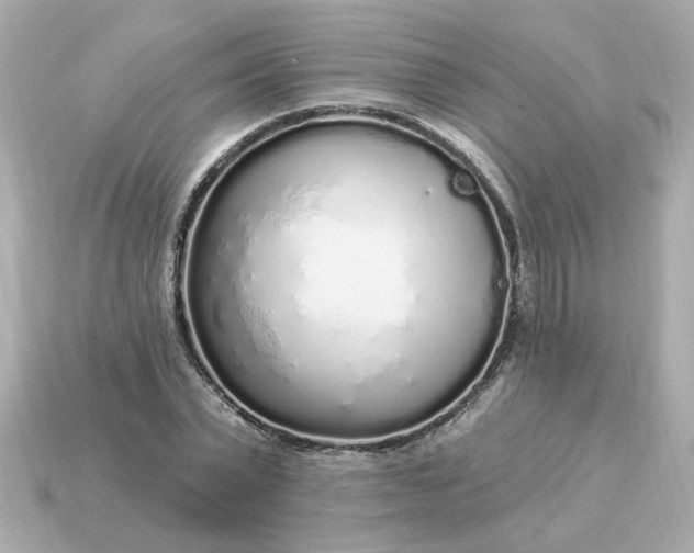 X0000115160783200911101749