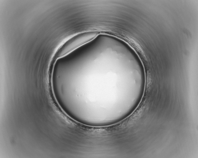 X0000115160784200911101749