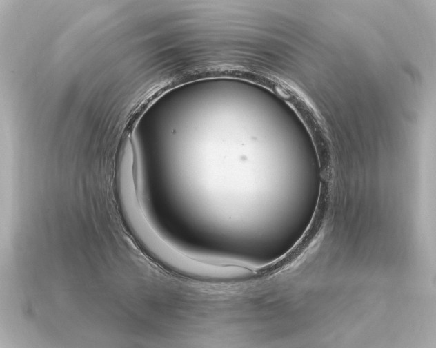 X0000115160785200911101749
