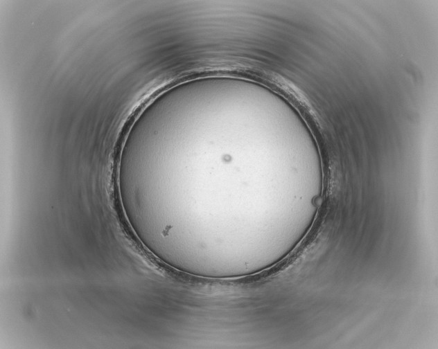 X0000115160786200911101749
