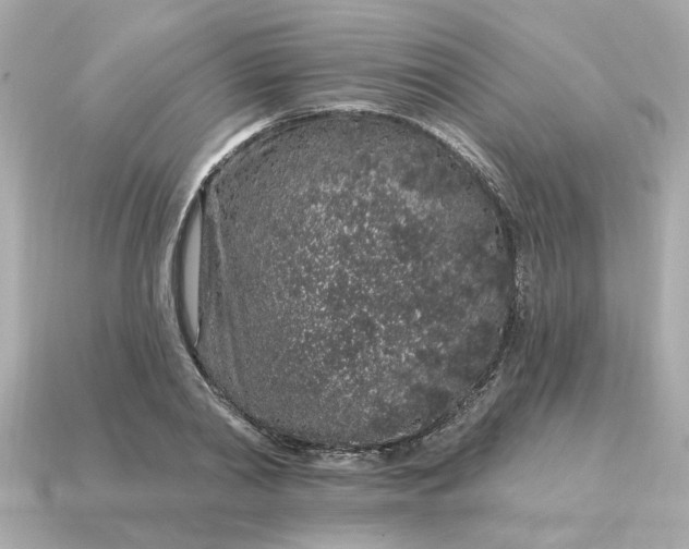 X0000115160790200911101749