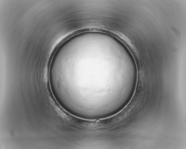 X0000115160791200911101749