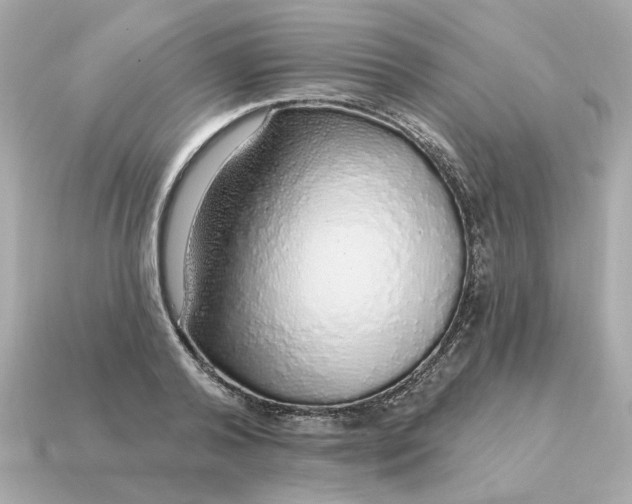 X0000115160792200911101749