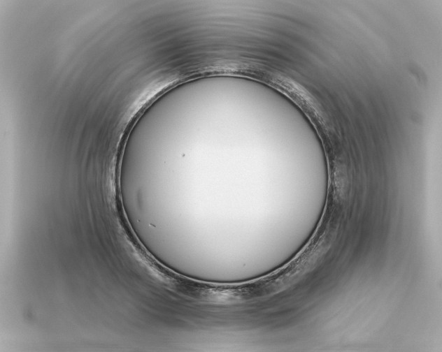 X0000115160794200911101749