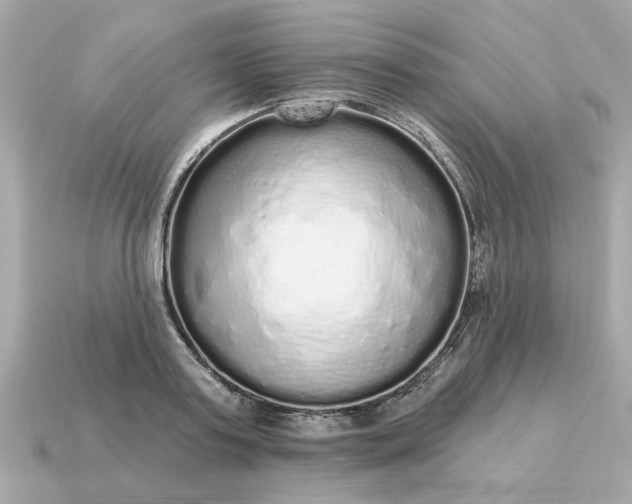X0000115160795200911101749