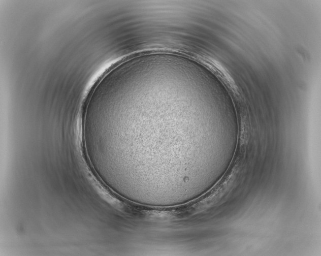 X0000115160796200911101749