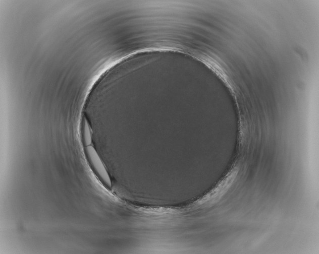 X0000115160797200911101749