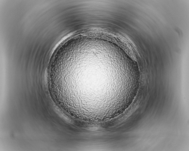 X0000115160798200911101749