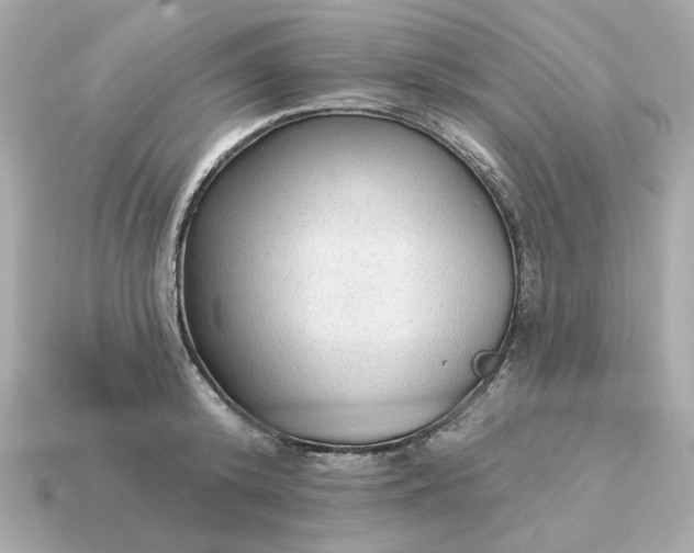 X0000115160800200911101749