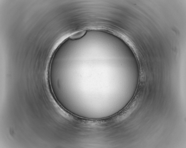 X0000115160803200911101749