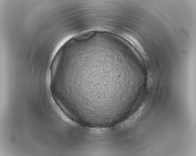 X0000115160804200911101749