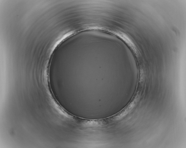X0000115160806200911101748