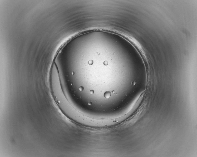 X0000115160807200911101748