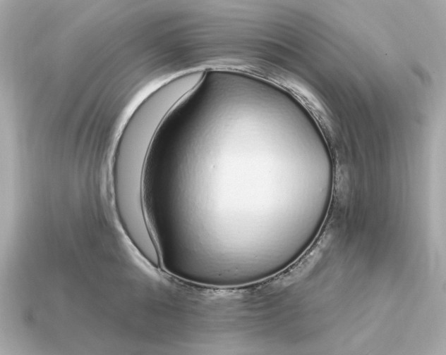 X0000115160808200911101748
