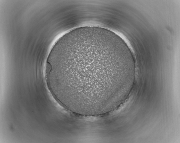X0000115160815200911101748