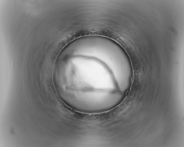 X0000115160817200911101748