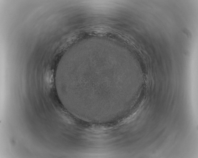 X0000115160818200911101748