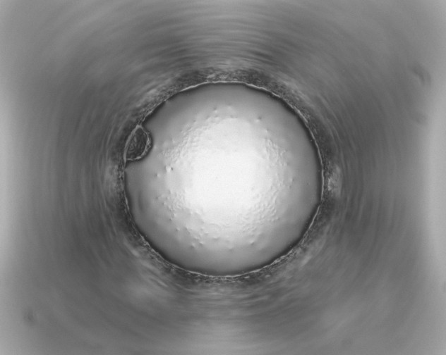 X0000115160819200911101748