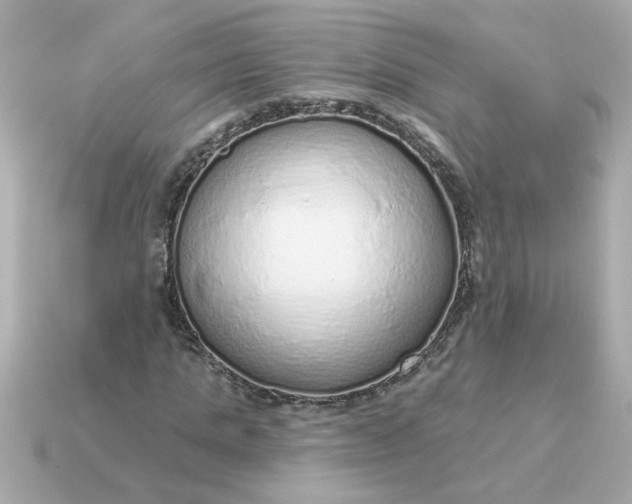 X0000115160821200911101748