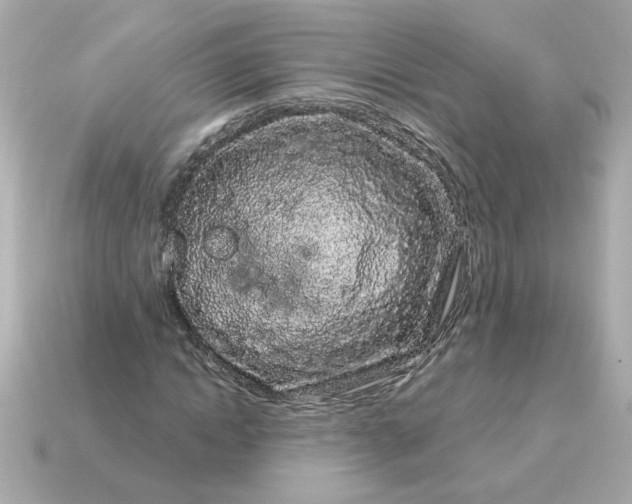X0000115160822200911101748