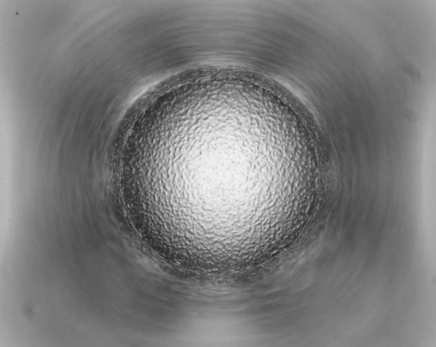 X0000115160823200911101748