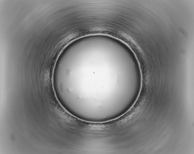 X0000115160825200911101748