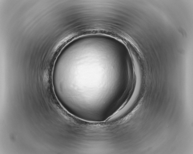 X0000115160826200911101748