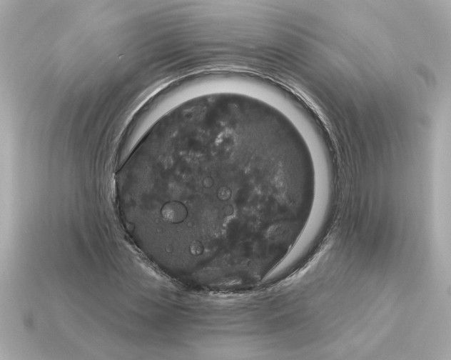 X0000115160829200911101748